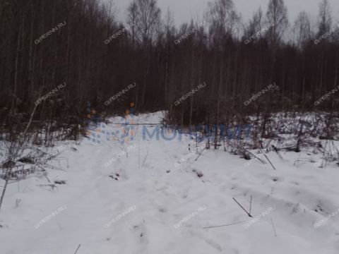 derevnya-gumnishhi-balahninskiy-municipalnyy-okrug фото