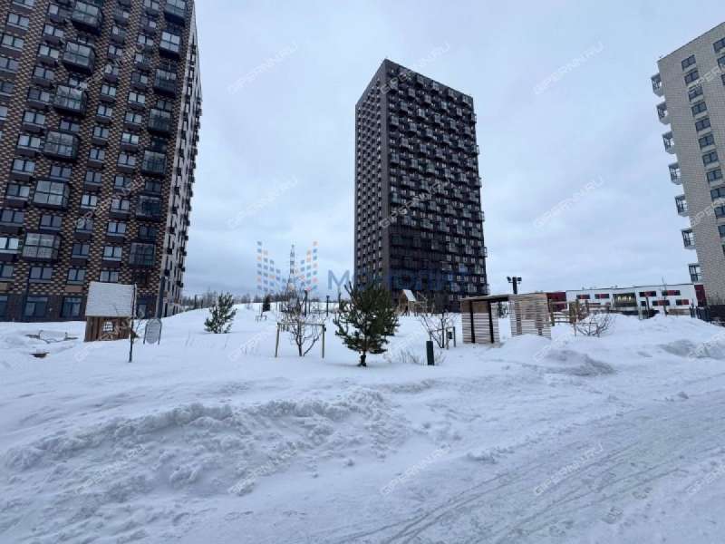 трёхкомнатная квартира на улице Небесная дом 3 деревня Утечино