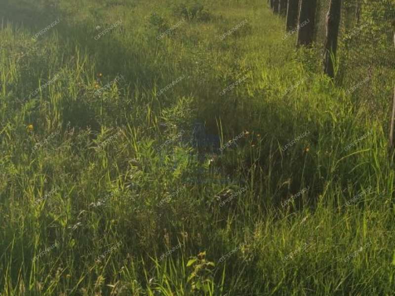 земельный участок 18 соток деревня Мошкино, Бриляковский сельсовет