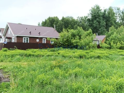 selo-ostankino-gorodskoy-okrug-bor фото