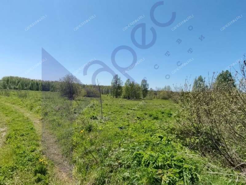 земельный участок под коммерческое использование в городском округе Сокольский Нижегородской области