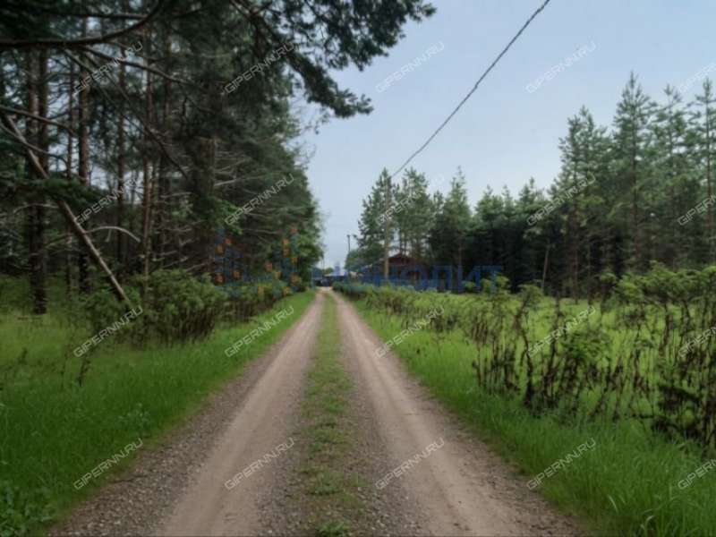 земельный участок под сельхоз назначение в Городецком районе Нижегородской области