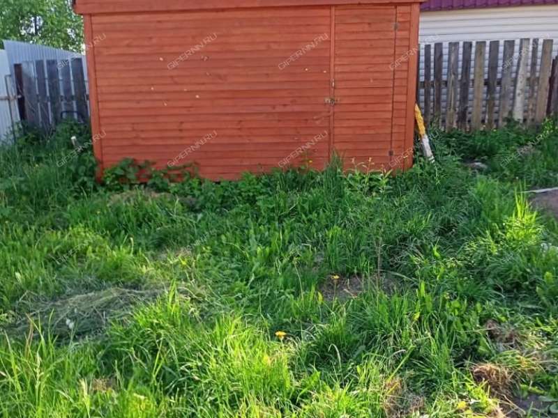 дача на СНТ Дружба село Вязовка