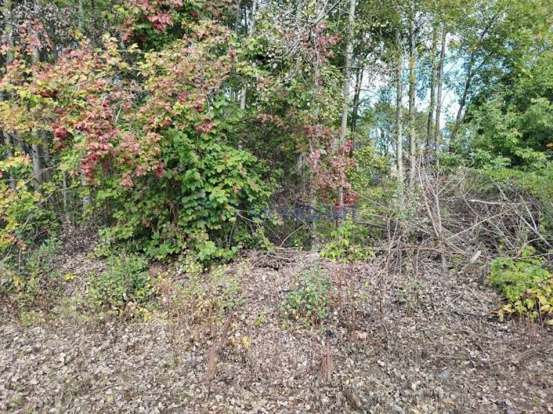 земельный участок 12,25 сотки Октябрьская улица деревня Никульское