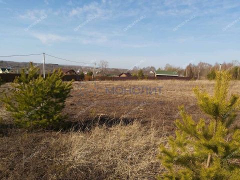 derevnya-nepecino-bogorodskiy-municipalnyy-okrug фото