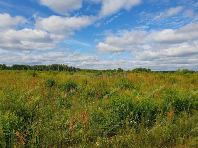 земельный участок под сельхоз назначение в городском округе Бор Нижегородской области