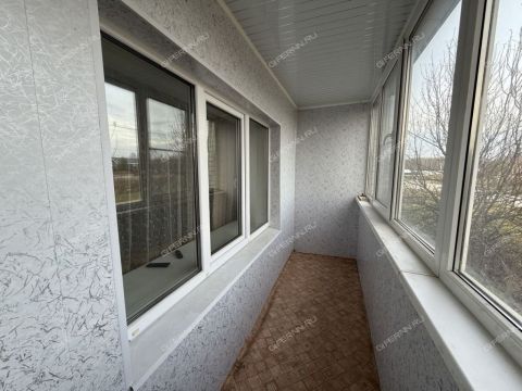 1-komnatnaya-derevnya-fedurino-gorodeckiy-rayon фото