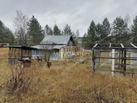 moskovskiy-rayon фото