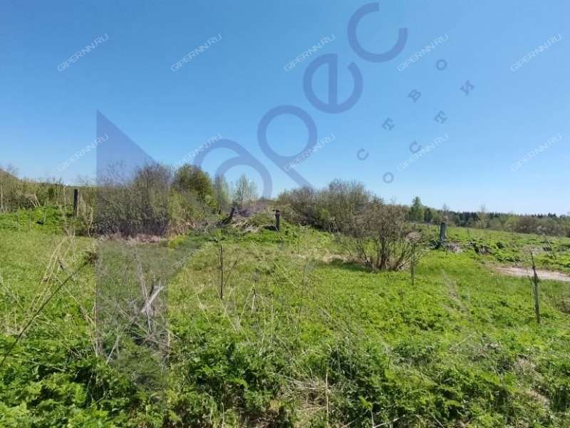 земельный участок под коммерческое использование в городском округе Сокольский Нижегородской области