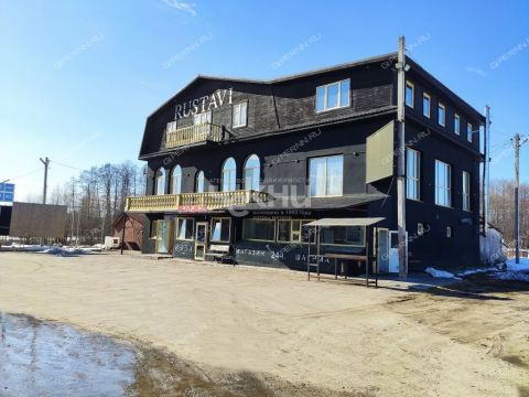 derevnya-maloe-chuhovo-gorodskoy-okrug-chkalovsk фото