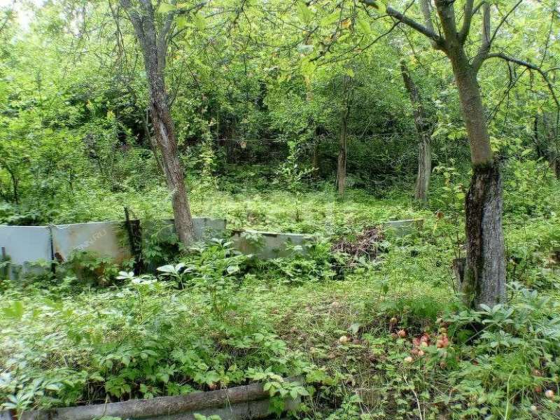 земельный участок 5,7 сотки «Маяк» садовое товарищество