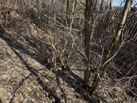 poselok-babino-gorodskoy-okrug-dzerzhinsk фото