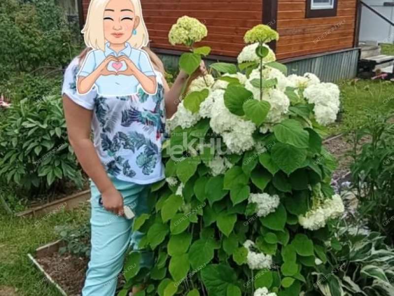 дом на Центральной улице деревня Сухаренки