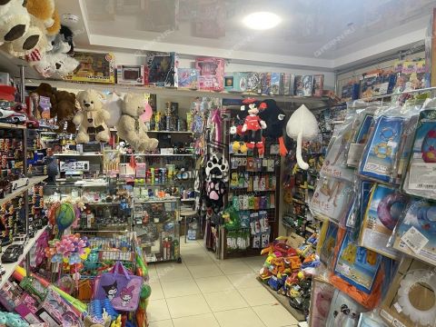 prosp-lenina-d-77 фото