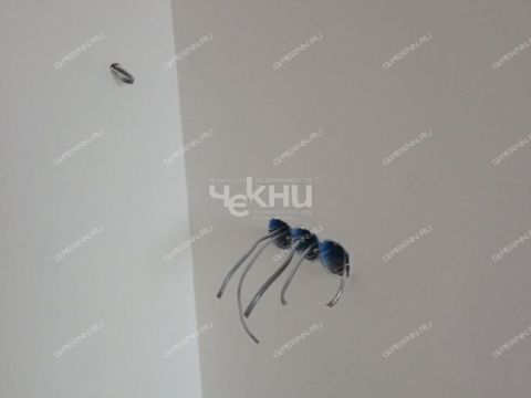 1-komnatnaya-ul-alekseevskaya-d-24-27 фото