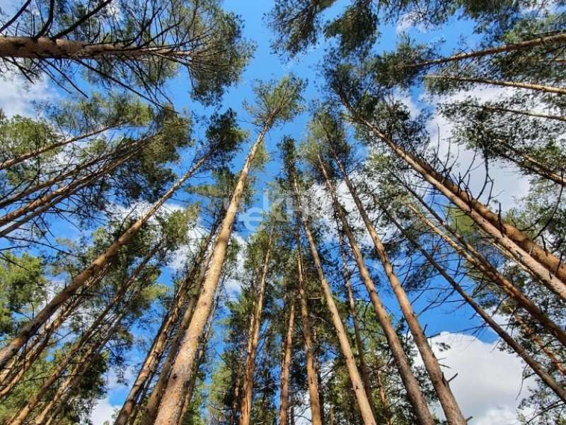 дом на Лесная деревня Непецино