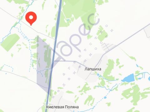 derevnya-lapshiha-dalnekonstantinovskiy-rayon фото