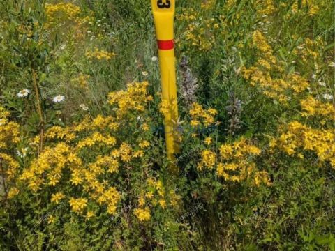 derevnya-afonino-kstovskiy-rayon фото