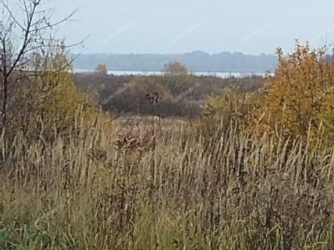 dom-poselok-lyahovo-balahninskiy-municipalnyy-okrug фото