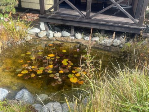 dom-derevnya-shumilovo-bogorodskiy-municipalnyy-okrug фото