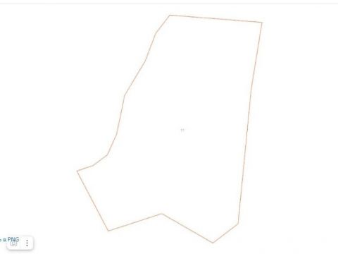 selo-nikolskoe-gorodskoy-okrug-arzamas фото