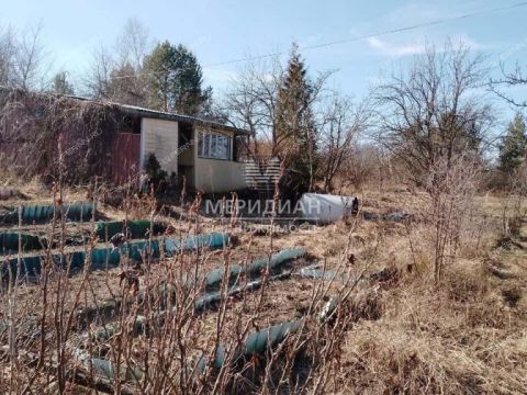 dacha-rabochiy-poselok-dalnee-konstantinovo-dalnekonstantinovskiy-rayon фото