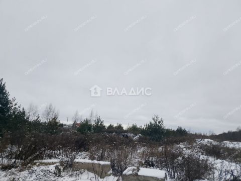 selo-bezvodnoe-kstovskiy-rayon фото