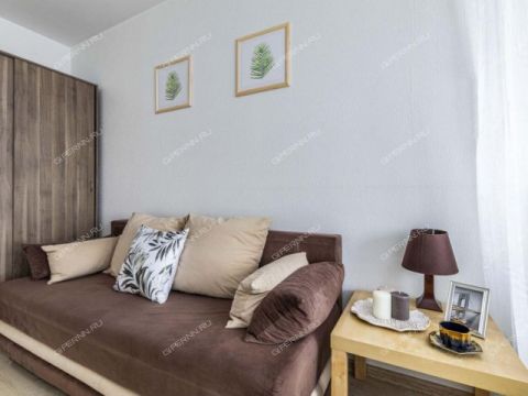 1-komnatnaya-ul-50-letiya-pobedy-d-12-k1 фото