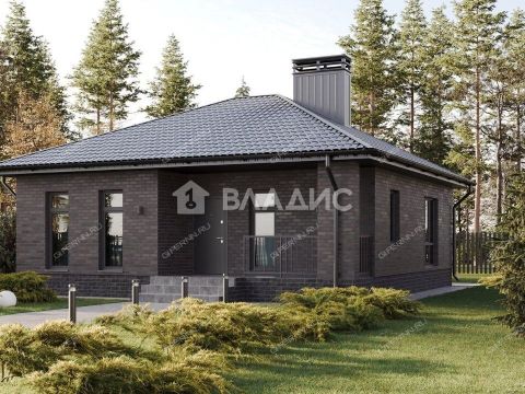 dom-derevnya-inyutino-bogorodskiy-municipalnyy-okrug фото