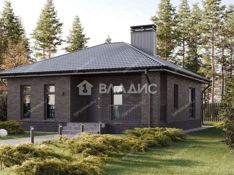 дом на улице Луговая деревня Инютино