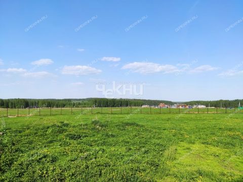 derevnya-mednikovo-gorodskoy-okrug-chkalovsk фото