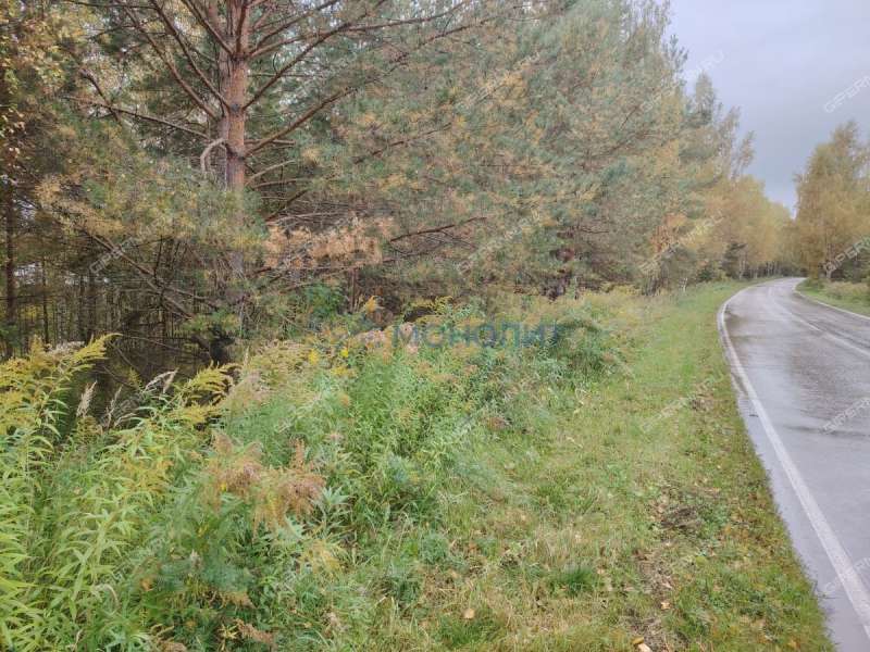 земельный участок 210 соток - деревня Бушнёво