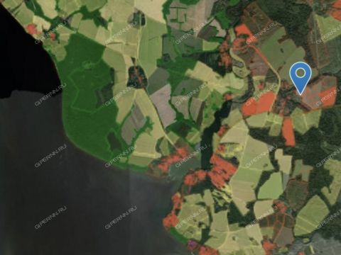 derevnya-dresvishhi-sokolskiy-gorodskoy-okrug фото
