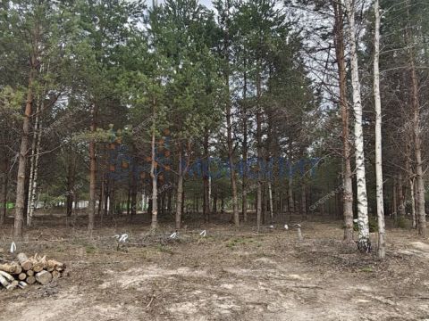 ivanovskoe-sloboda-gorodskoy-okrug-bor фото