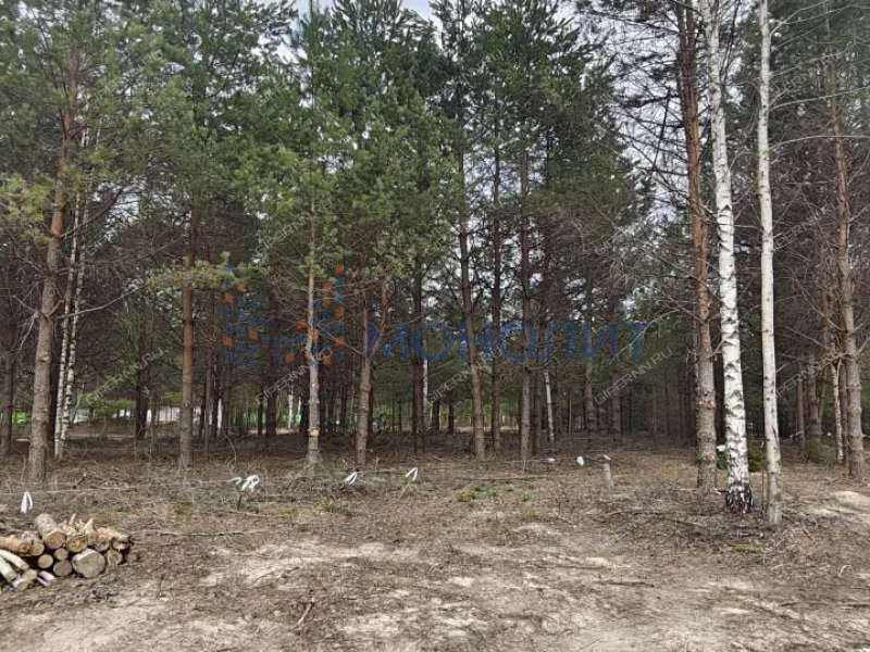 земельный участок 16 соток Ореховая улица Ивановское слобода