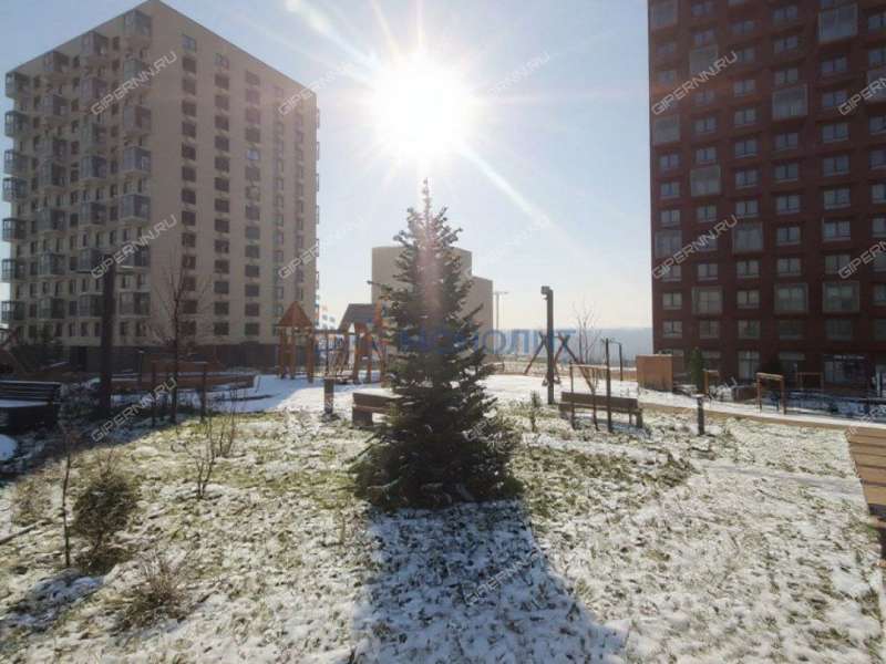 трёхкомнатная квартира на улице Небесная дом 1 деревня Утечино