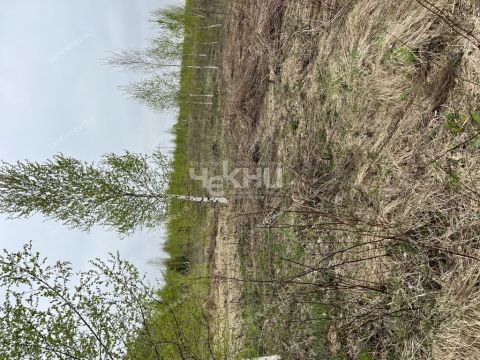 poselok-mirnyy-bogorodskiy-municipalnyy-okrug фото