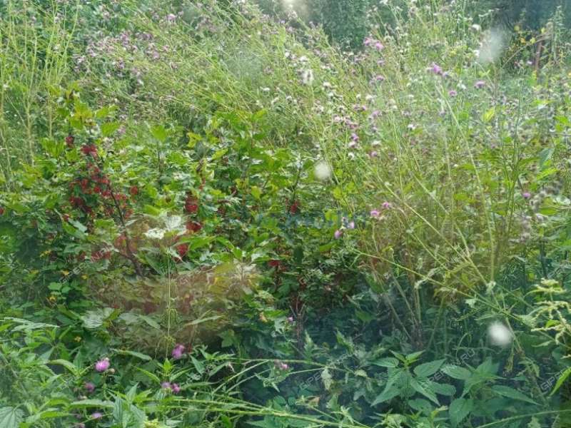 дом на Подгорной улице село Толба