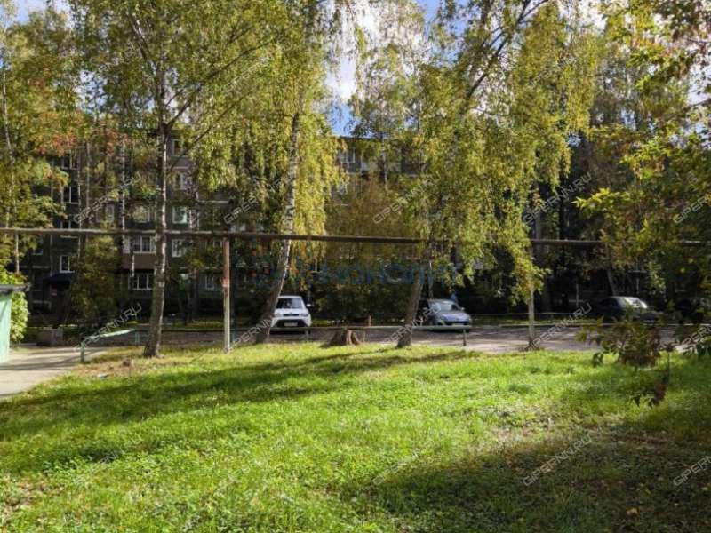 трёхкомнатная квартира на Снежной улице дом 29 к1