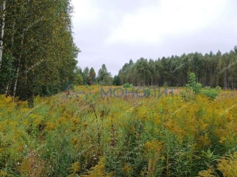 derevnya-zaskochiha-gorodskoy-okrug-bor фото