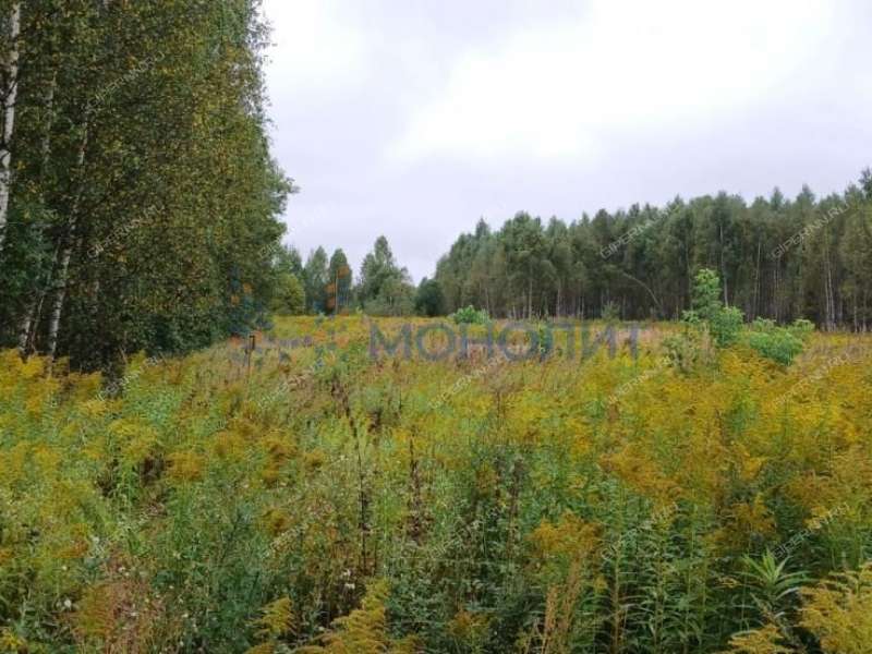земельный участок 11 соток - деревня Заскочиха