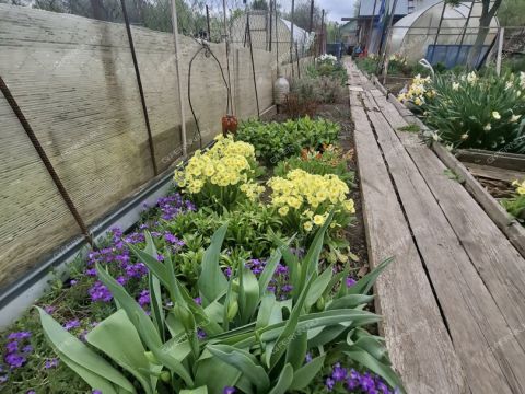 3-komnatnaya-selo-chernuha-kstovskiy-rayon фото