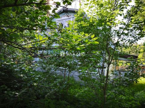dacha-snt-kolos-2-gorodskoy-okrug-bor фото