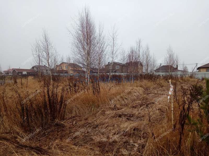 земельный участок 10 соток Рябиновая улица город Богородск