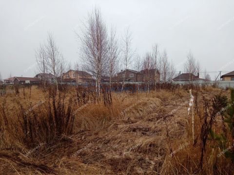 gorod-bogorodsk-bogorodskiy-municipalnyy-okrug фото