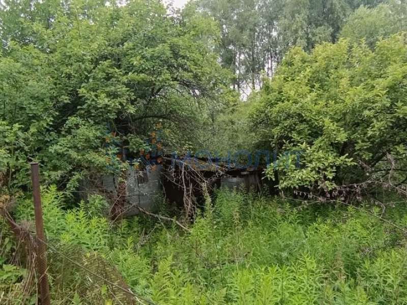 дача на СНТ Колос