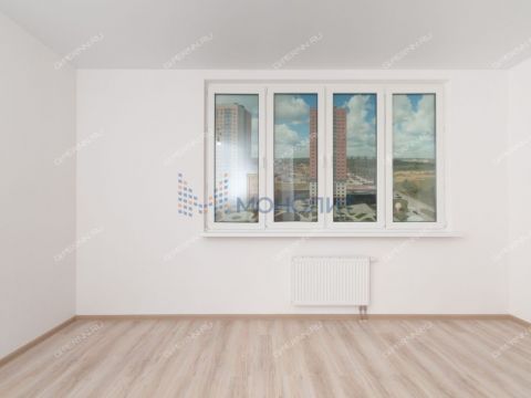 1-komnatnaya-derevnya-ankudinovka-kstovskiy-rayon фото