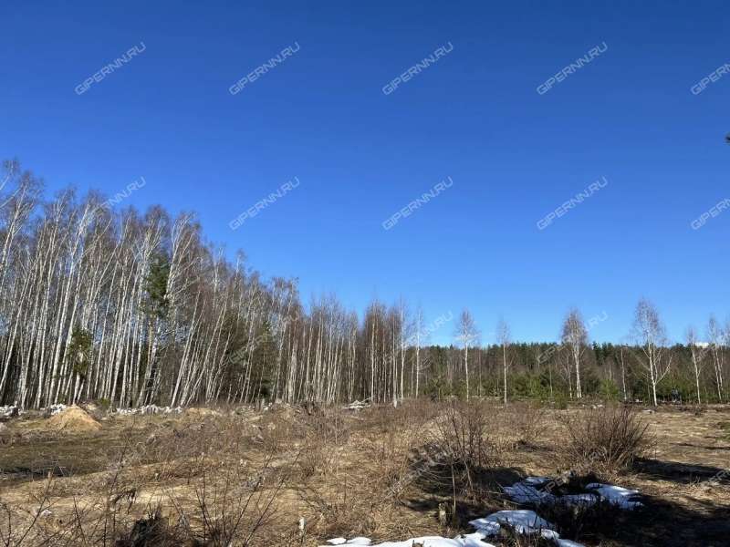 земельный участок под сельхоз назначение в Городецком районе Нижегородской области