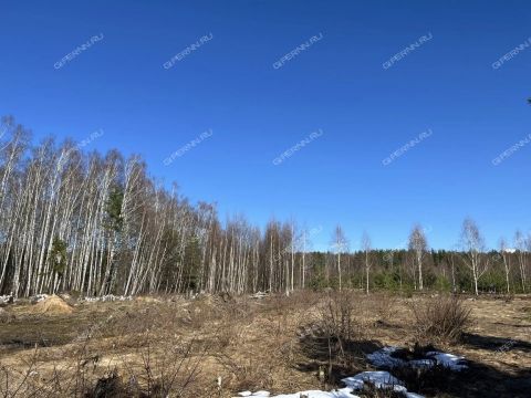 derevnya-soboliha-gorodeckiy-rayon фото