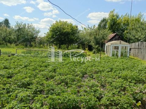 dom-rabochiy-poselok-doschatoe-gorodskoy-okrug-vyksa фото